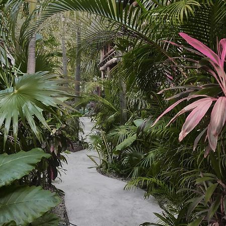 Hotel Boutique Terranova تولوم المظهر الخارجي الصورة