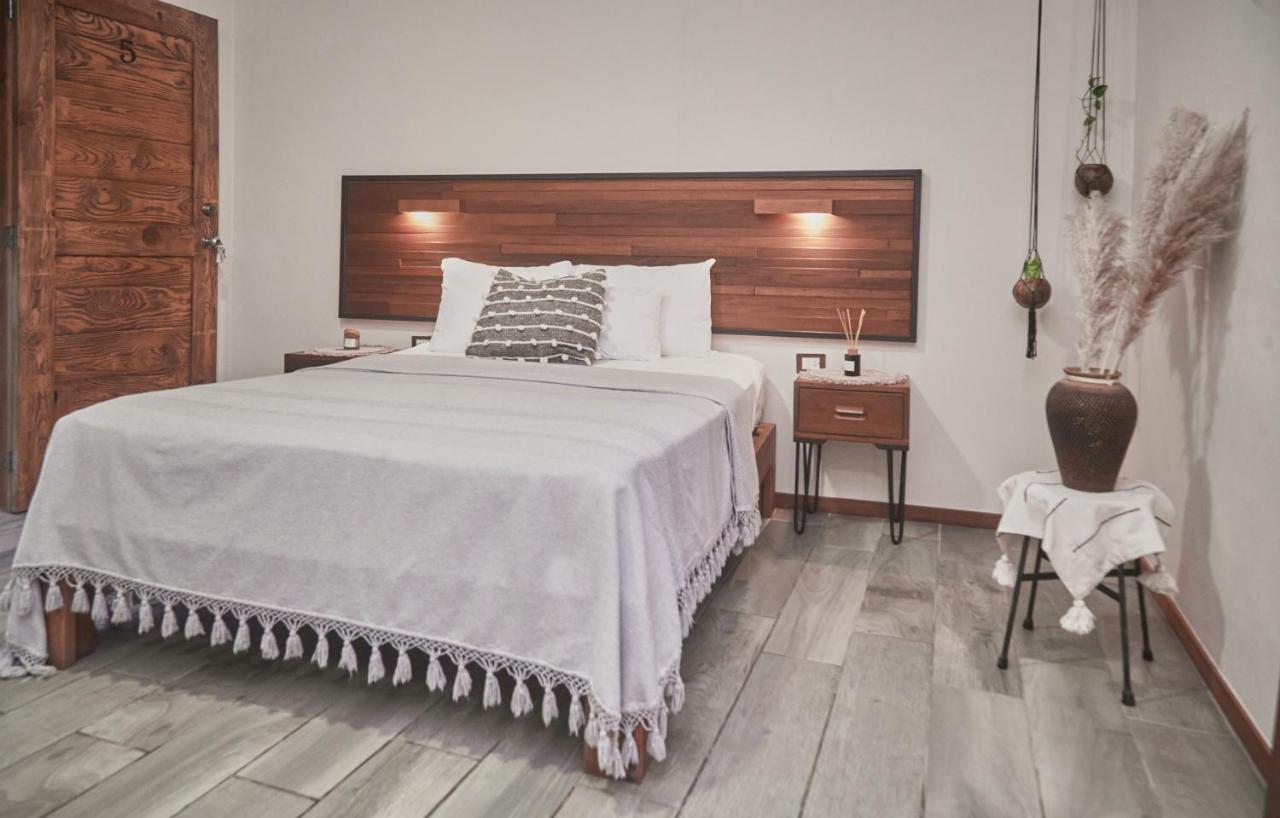 Hotel Boutique Terranova تولوم المظهر الخارجي الصورة