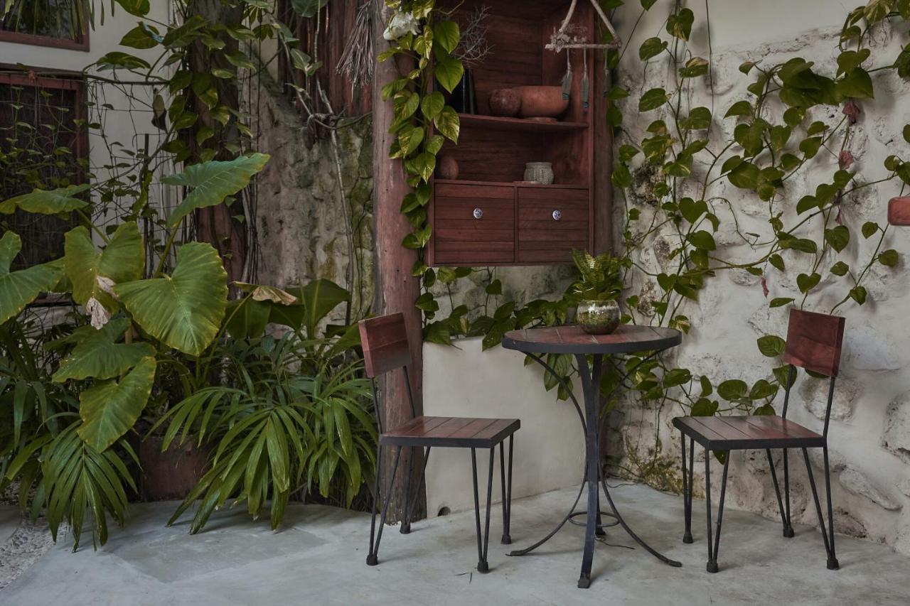Hotel Boutique Terranova تولوم المظهر الخارجي الصورة