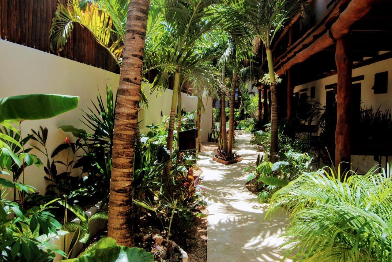 Hotel Boutique Terranova تولوم المظهر الخارجي الصورة