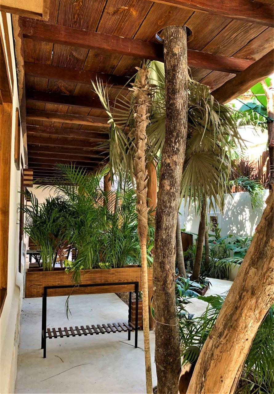 Hotel Boutique Terranova تولوم المظهر الخارجي الصورة