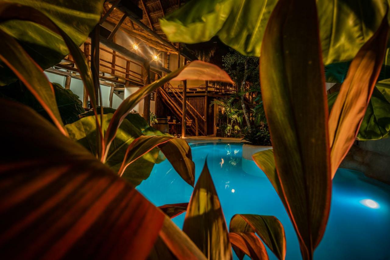 Hotel Boutique Terranova تولوم المظهر الخارجي الصورة